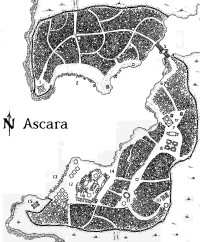 Ascara